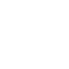 Voter Services